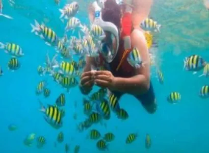 Havelock Tour Packages