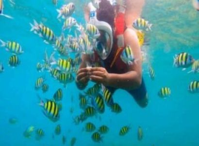 04 Nights - 05 Days Port Blair - Havelock - Neil Island Tour