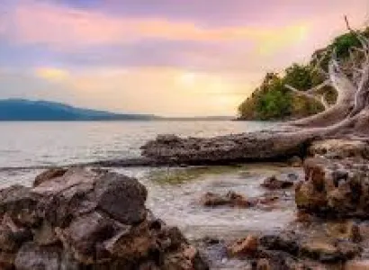 Havelock Tour Packages