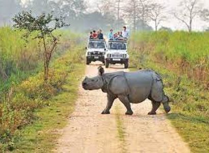 3 Night 4 Day Omar Kaziranga Tour Package