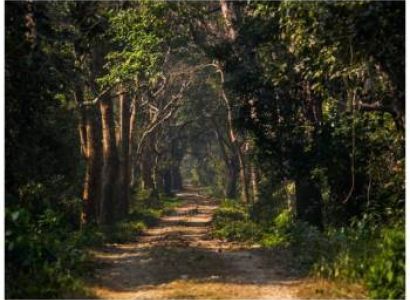 3 Night 4 Day Bardiya National Park - Nepal Tour