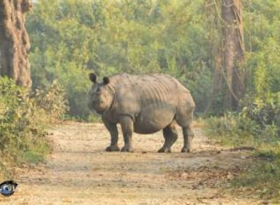 3 Night 4 Day Omar Kaziranga Tour Package