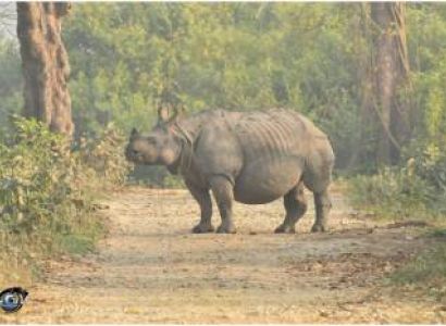 3 Night 4 Day Omar Kaziranga Tour Package
