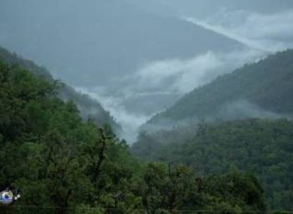 The Songs of feathers - Eagle nest Wildlife Sanctuary
