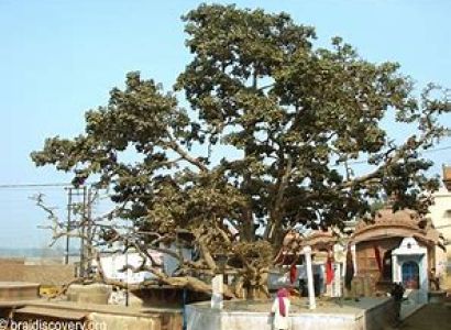 6 Night 7 Days Braj 84 Kos Yatra