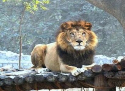 5 Night 6 Days kanpur- Lucknow Tour Packages