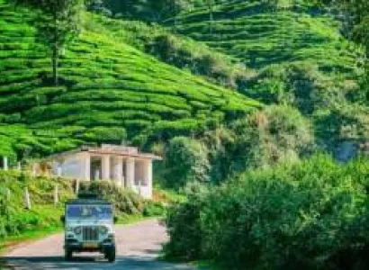 Kochi, Alleppey & Munnar Tour 5 Days