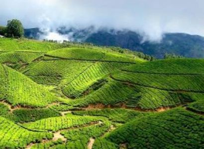 MUNNAR HONEYMOON PACKAGES