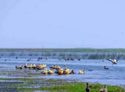 Chilika Tour Package from Bhubaneswar