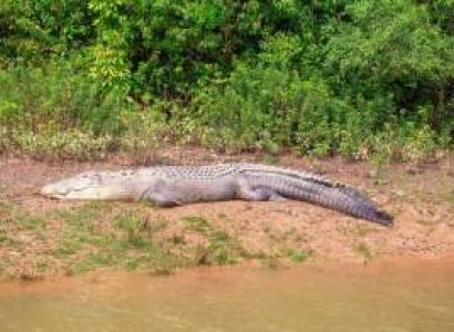 BHITARKANIKA & SIMLIPAL TOUR