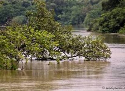 BHITARKANIKA & SIMLIPAL TOUR