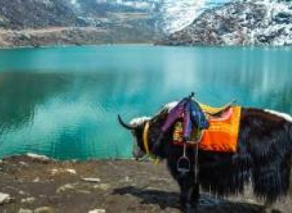 Pelling Tour Packages