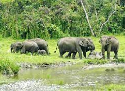 2Nights 3Days Lataguri Siliguri Tour