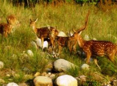 Assam - Meghalaya - Arunachal 13 night 14days