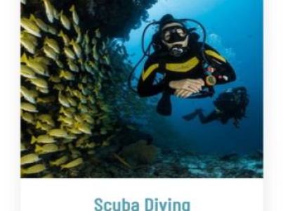 Scuba diving - Watersports Goa Tour