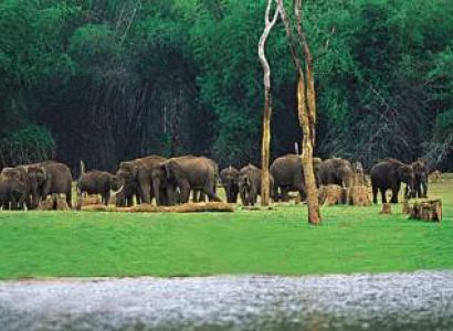 6 Nights - 7 Days Kerala Tour Package