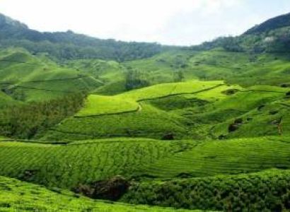 2 Nights - 3 Days Munnar Leisure Tour