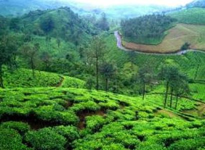 Misty Peaks Getaway Munnar Vagamon 3N 4D Tour