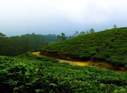 Queen Of The Hills 3 Nights - 4 Days Tour