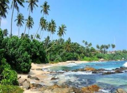 Spazio Leisure Resort 3 Nights - 4 Days Tour