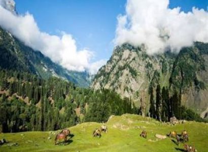 Kashmir Packages 4 Nights - 5 Days