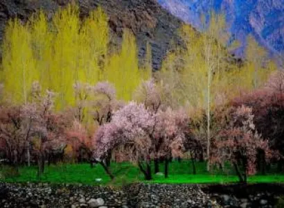 Ladakh Apricot Blossom 6 nights 7 days.