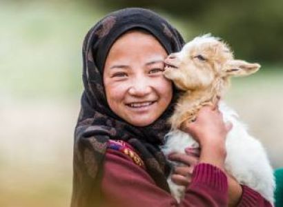 Captivating Ladakh 04 Nights 5 Days