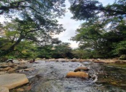 2 Nights 3 Day Every Friday Delhi To Chopta - Deoriataal