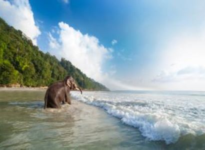 ANDAMAN NICOBAR TOUR