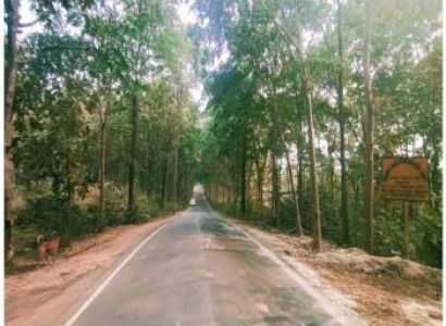 Rayagada Tour Packages