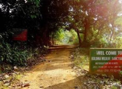 Routes to Odisha - Dublagadi, Balasore, Kuldiha Forest Tour