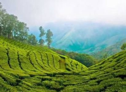 Kerala 4 Night 5 Days Package
