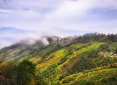 Gangtok & Darjeeling Tour
