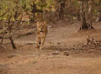 Gujarat Tour with Rann of Kutch Ex. Ahmedabad