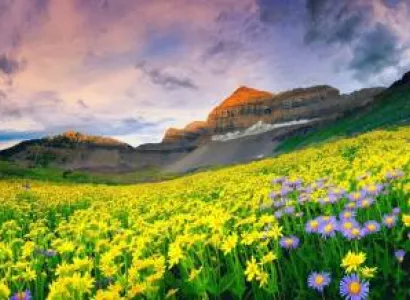 Valley Of Flowers 7 Nights – 8 Days