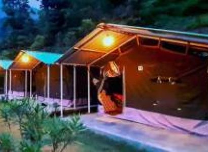 One Day Rishikesh Jungle Camping Tour