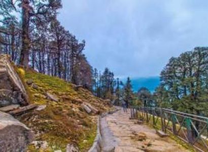 Delhi to Nainital Tour