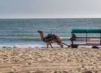 Gir Somnath Tour Packages