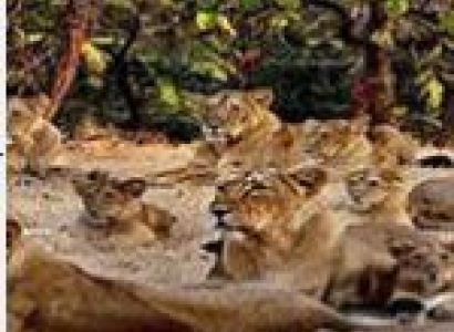 Somnath Tour Packages