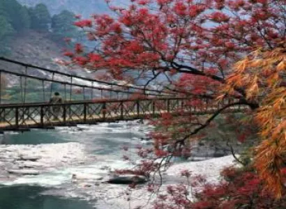 Auli tour package 2Night /3 days.