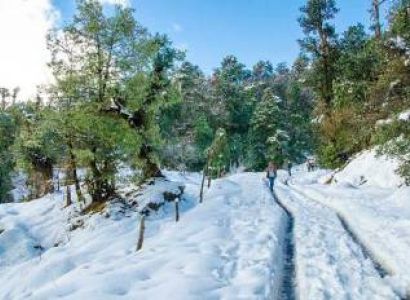 Chopta Tour Packages