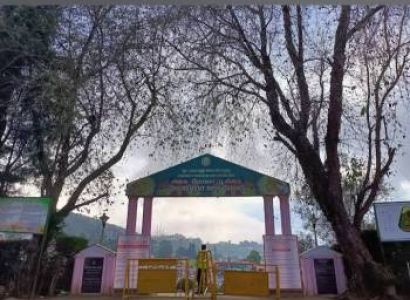 1 Night 2 days Ooty sightseeing package