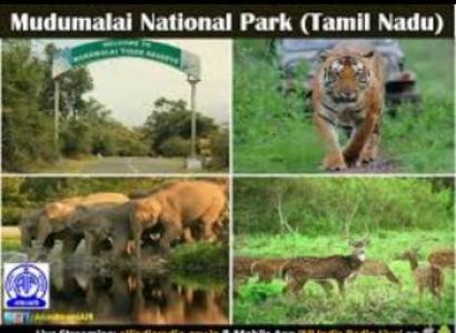 2 Night 3 Days Mysore & Ooty Tour