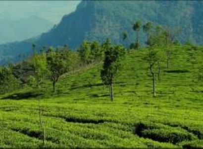 3 Night 4 days Coimbatore to Ooty tour