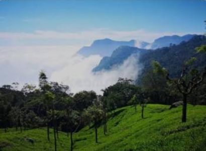 3 Night 4 days Coimbatore to Ooty tour