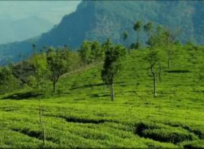 3 Night 4 days Bangalore to Mysore &Ooty Tour