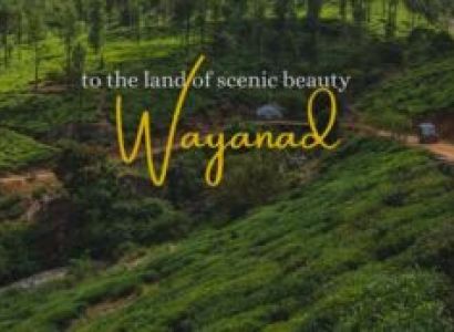 Wayanad - Coorg Ex - Bangalore 04 Days 03 Night Tour