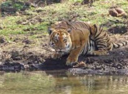 5 Night 6 Days Coimbatore to Ooty & Mysore Tour