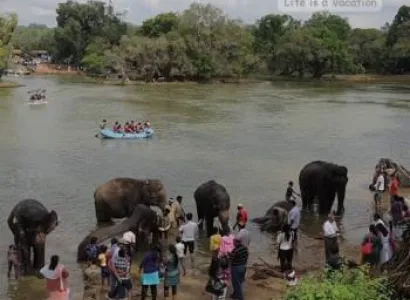 Mysore to Coorg & wayanad