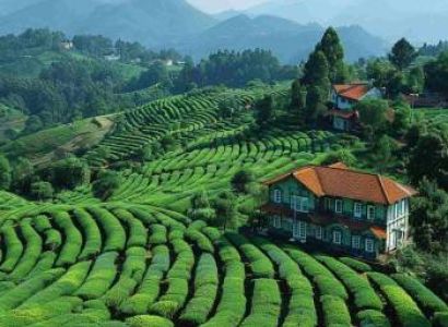 2N - 3D Ooty Tour Package
